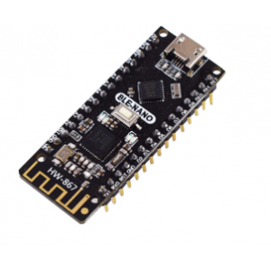 Module HW-867 Module HW-867