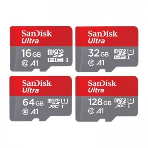 Carte Micro SD SanDisk Classe 10